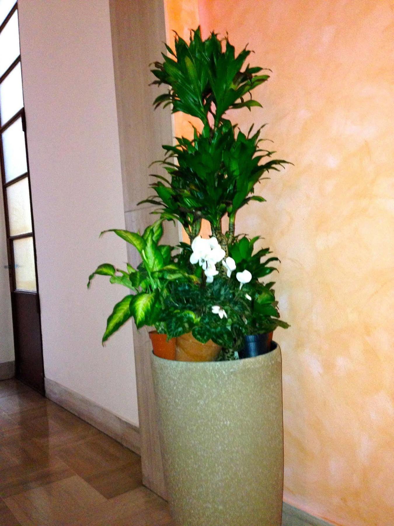 Rigoletto Rental Rooms Verona Exterior foto